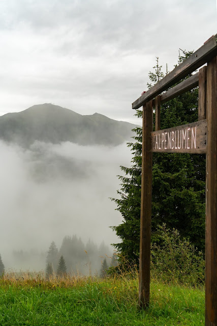 Waldwellness-Weg Saalbach | Regenwandern im #HomeofLässig | Waldbaden in Saalbach 06