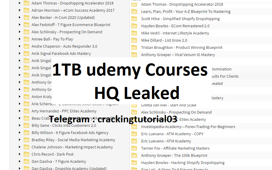 Leaked trading courses