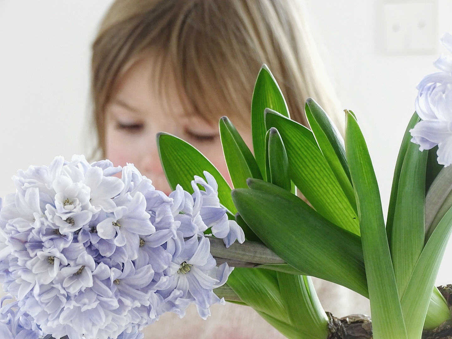Meine Wochenlieblinge - https://mammilade.blogspot.de Meine Wochenlieblinge - https://mammilade.blogspot.de