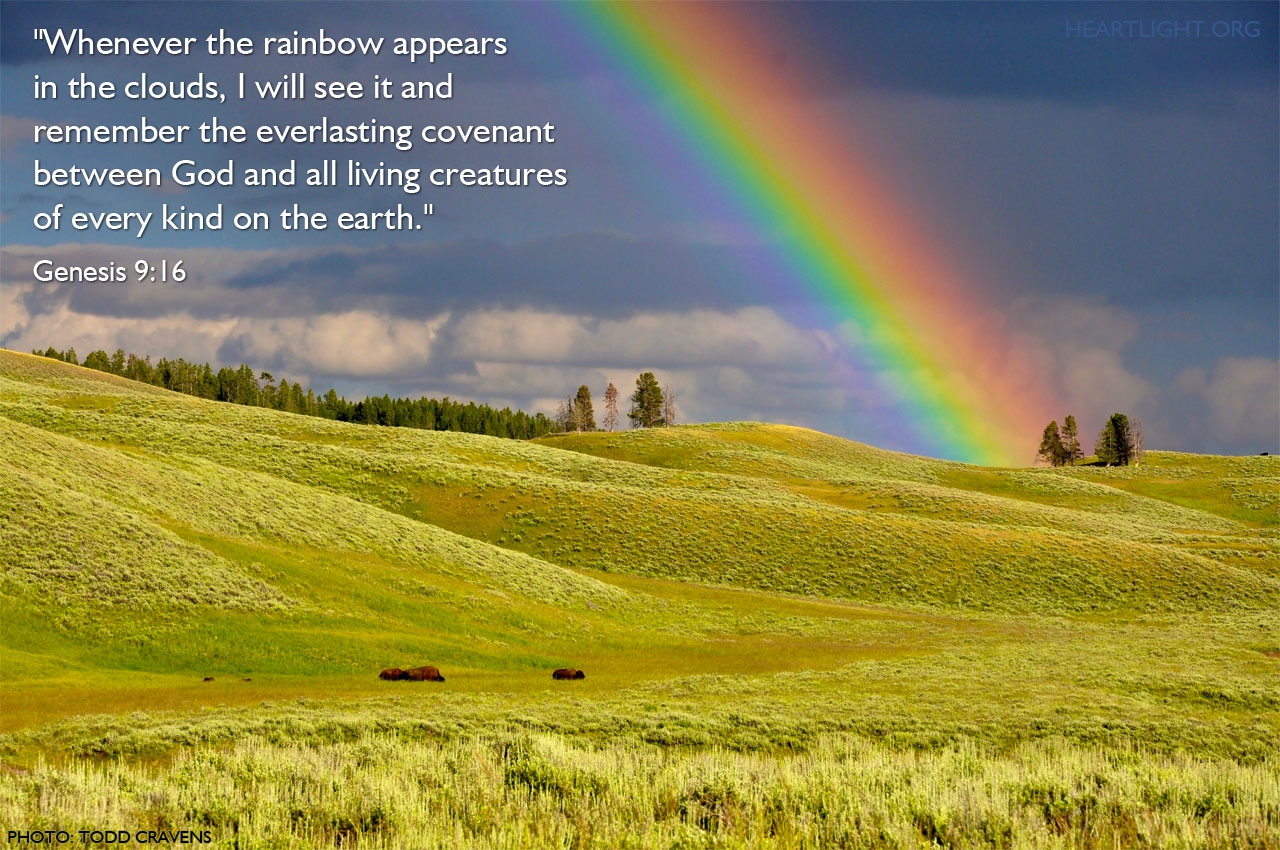 puricare chronicles AFTER THE RAIN COMES THE RAINBOW Whenever the
