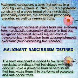 malignant narcissism evil narcissists estrangement diaries recovery journal stupendously particularly vivid