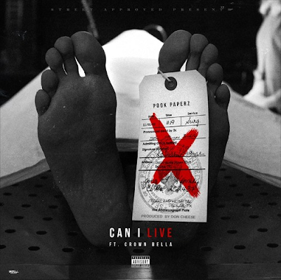 Pook Paperz ft. Crownbella - "Can I Live" {Prod. By Don Cheese} @Pook215Paperz @CrownBella