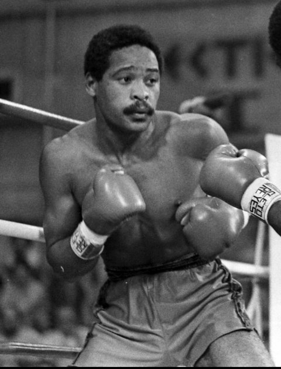 Wilfred Benitez The Fifth Member Part Two