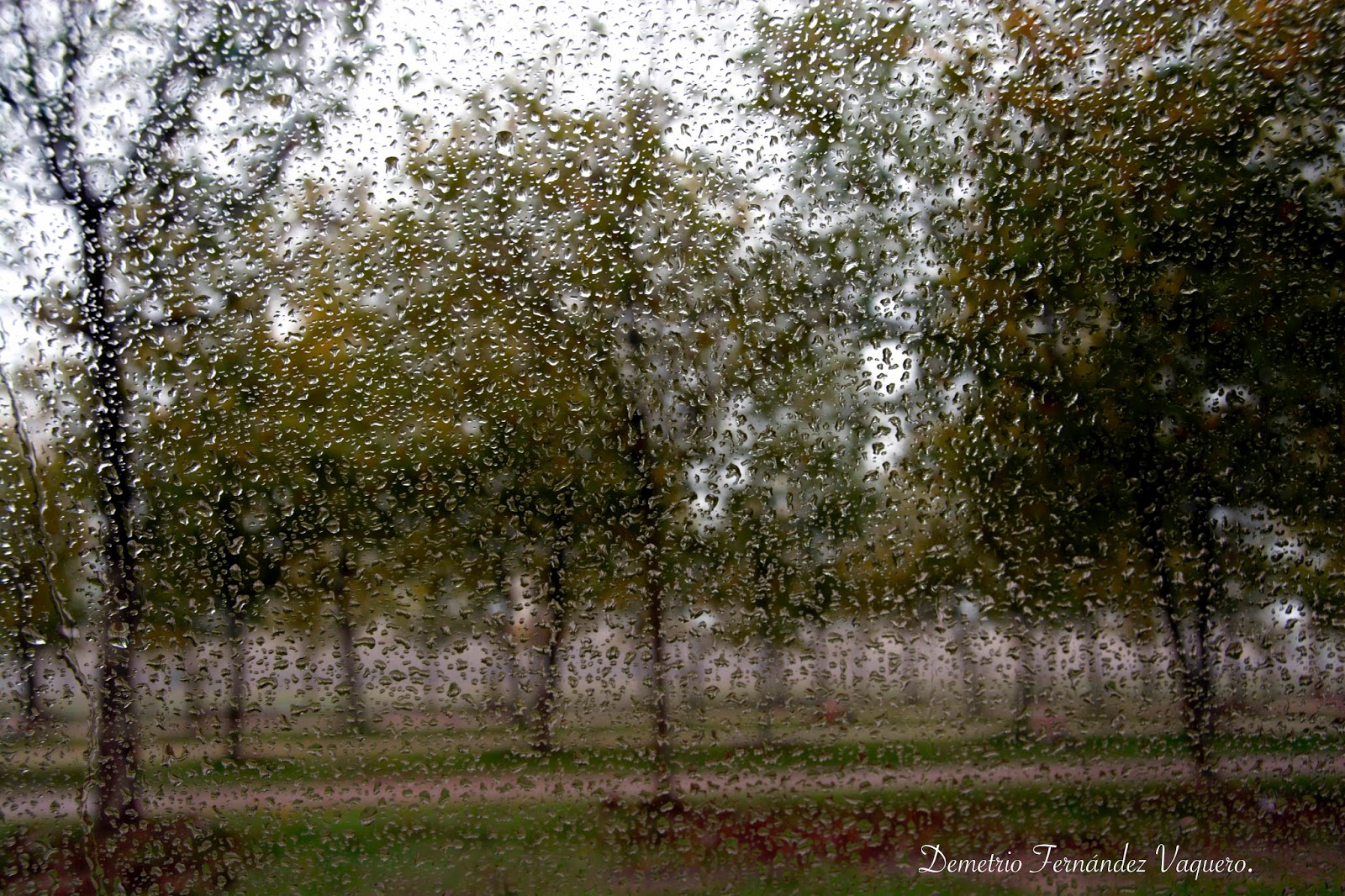 Cáceres Colección de fotos de la