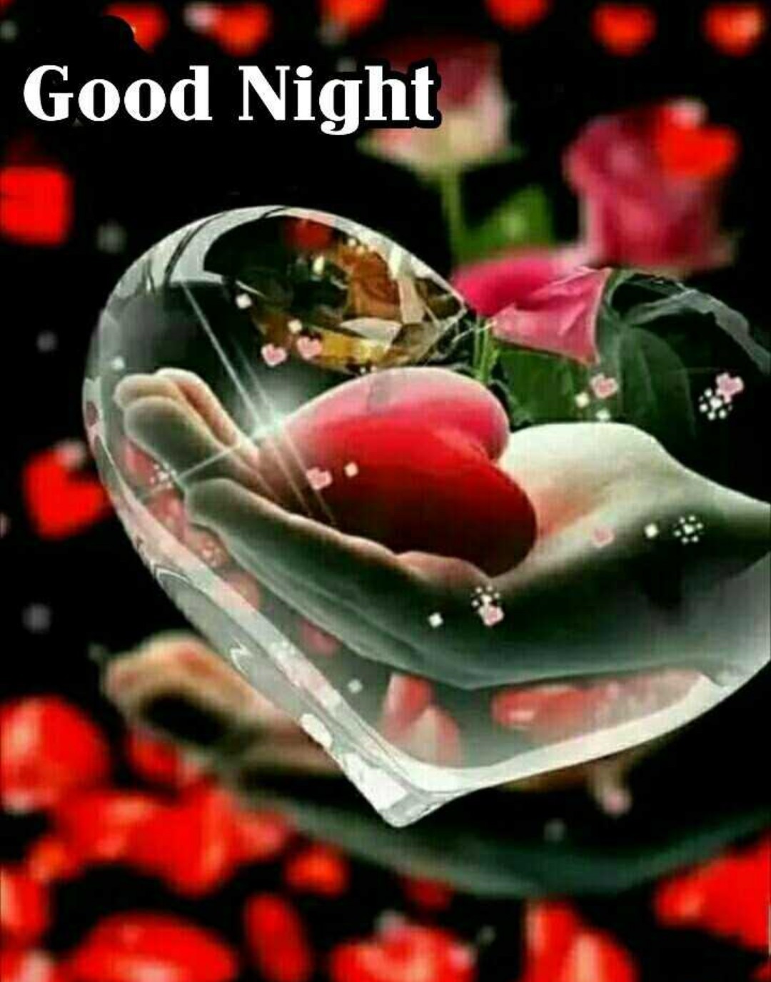 550 + Best Good Night Image || Good Night Image For Love || Good Night Image For Lover || Good Night Image Download || Good Night Image Hd 550 + Best Good Night Image || Good Night Image For Love || Good Night Image For Lover || Good Night Image Download || Good Night Image Hd
