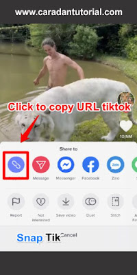 download video tiktok dengan SnapTik App