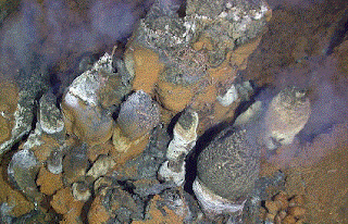 ocean floor minerals