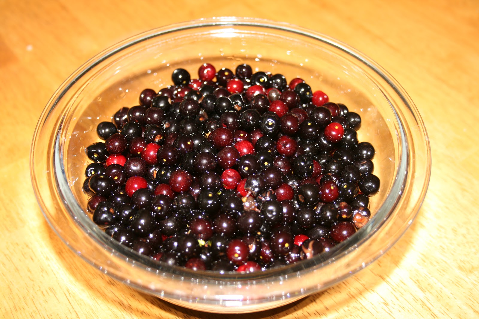 A Tiny Homestead Prunus Serotina Black Cherry or Wild Cherry