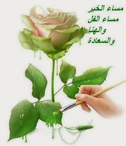 اجمل صور مساء الخير صور روعه منوعه