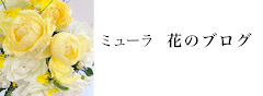 ミューラ　花のブログ