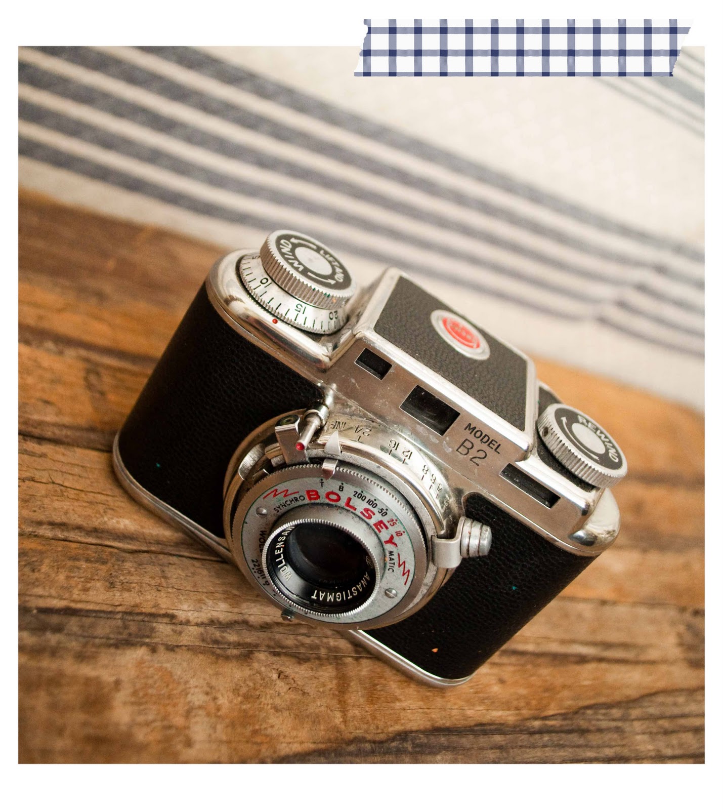 Paisley Sprouts vintage cameras