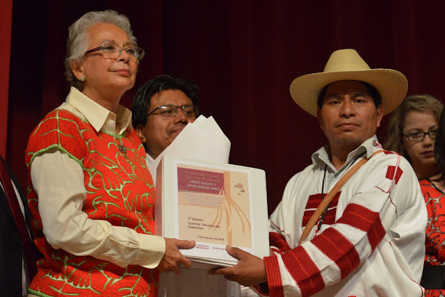 Realizan Foro Nacional de los Pueblos Indígenas y Afromexicano Realizan Foro Nacional de los Pueblos Indígenas y Afromexicano
