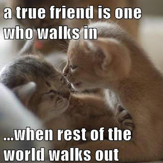 Friendship Quotes in English Images