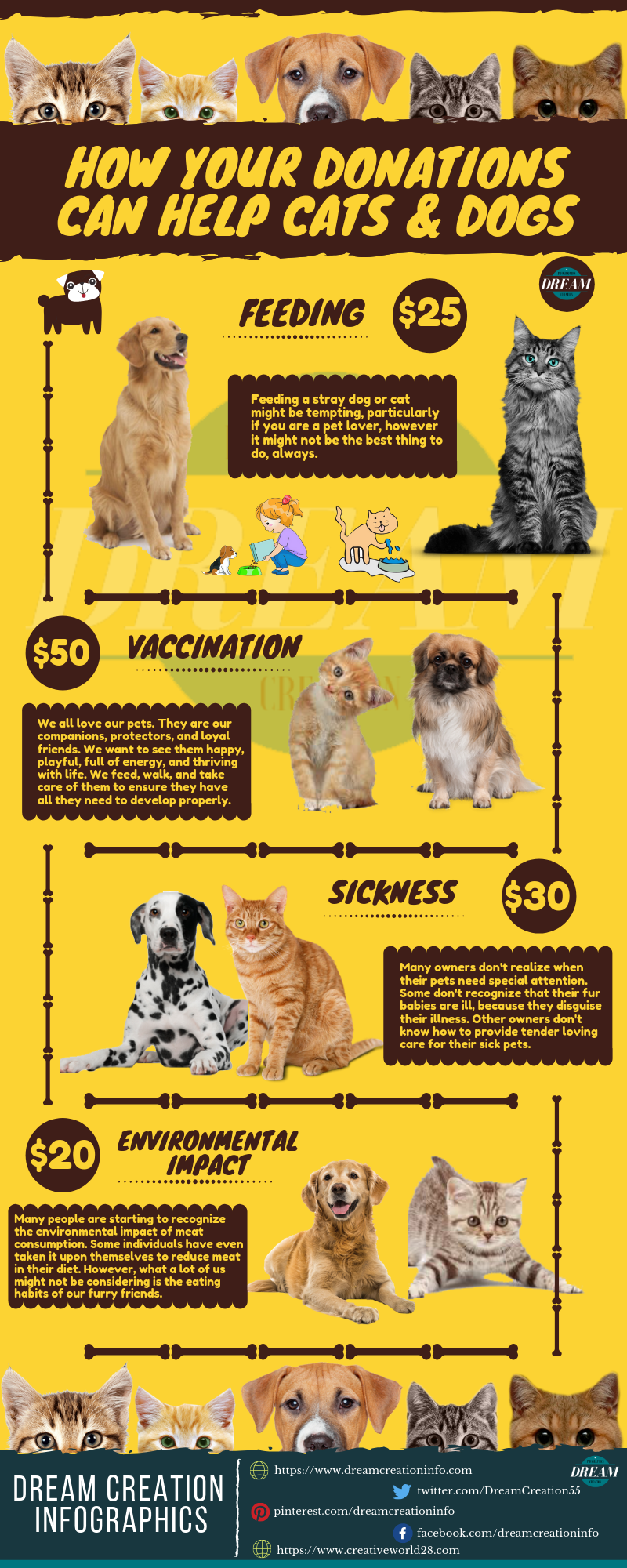 How Your Donations Can Help Cats & Dogs infographic Visualistan