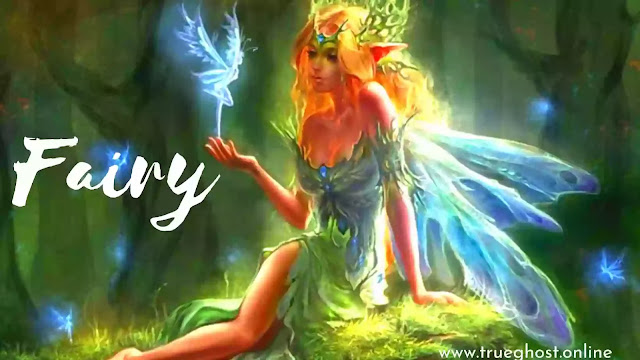 Fairy – fea- folklore | How they look like ?