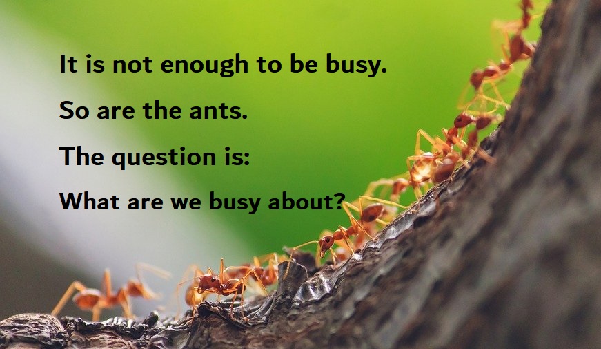 Funny Busy Quotes Short Positive Inspirational Quotes