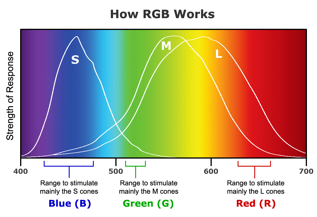 SPECIALIST BLOG "THE GLOG" COLOR VISION CHANGES IN
