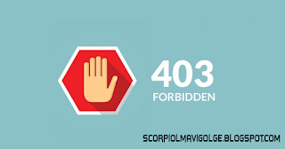 litespeed web server 403 forbidden visiting website