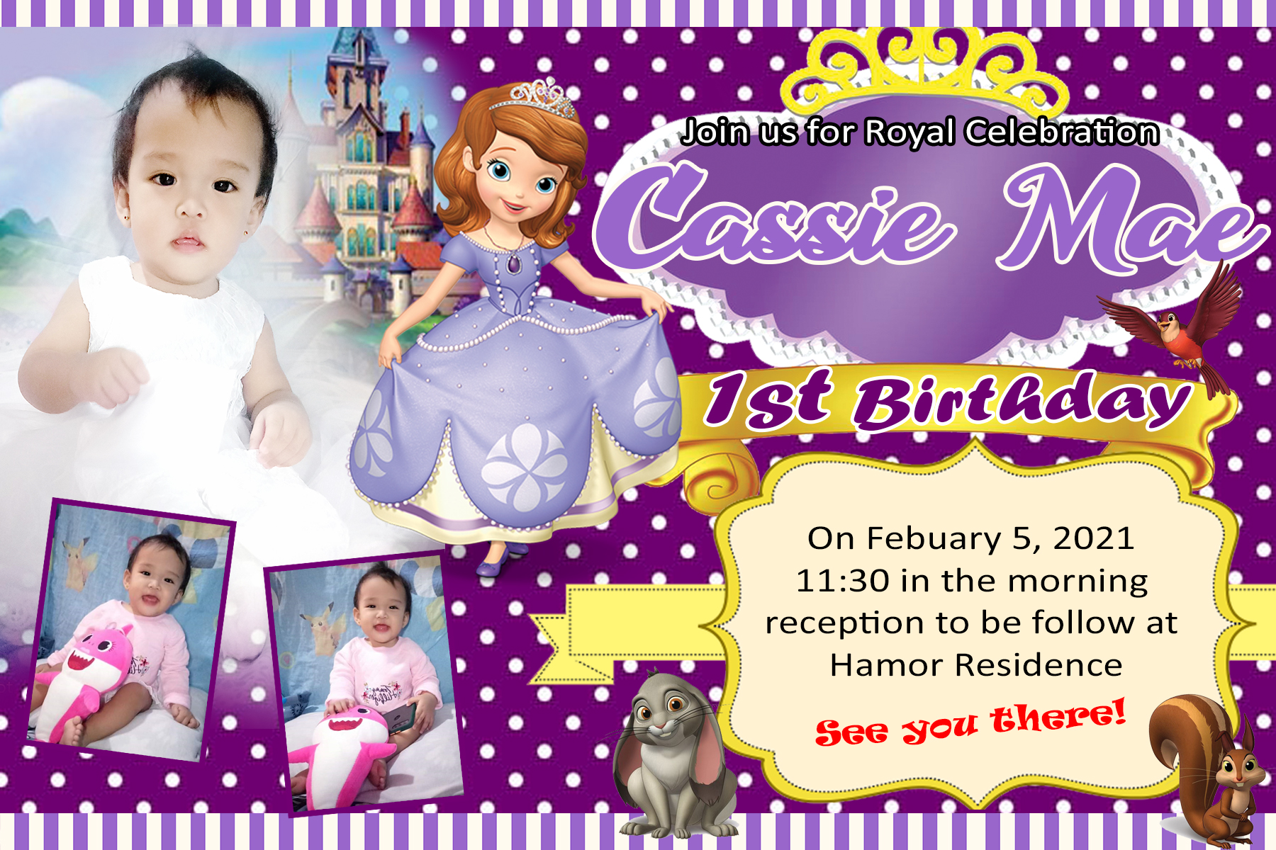 SOFIA THE FIRST BIRTHDAY THEMES