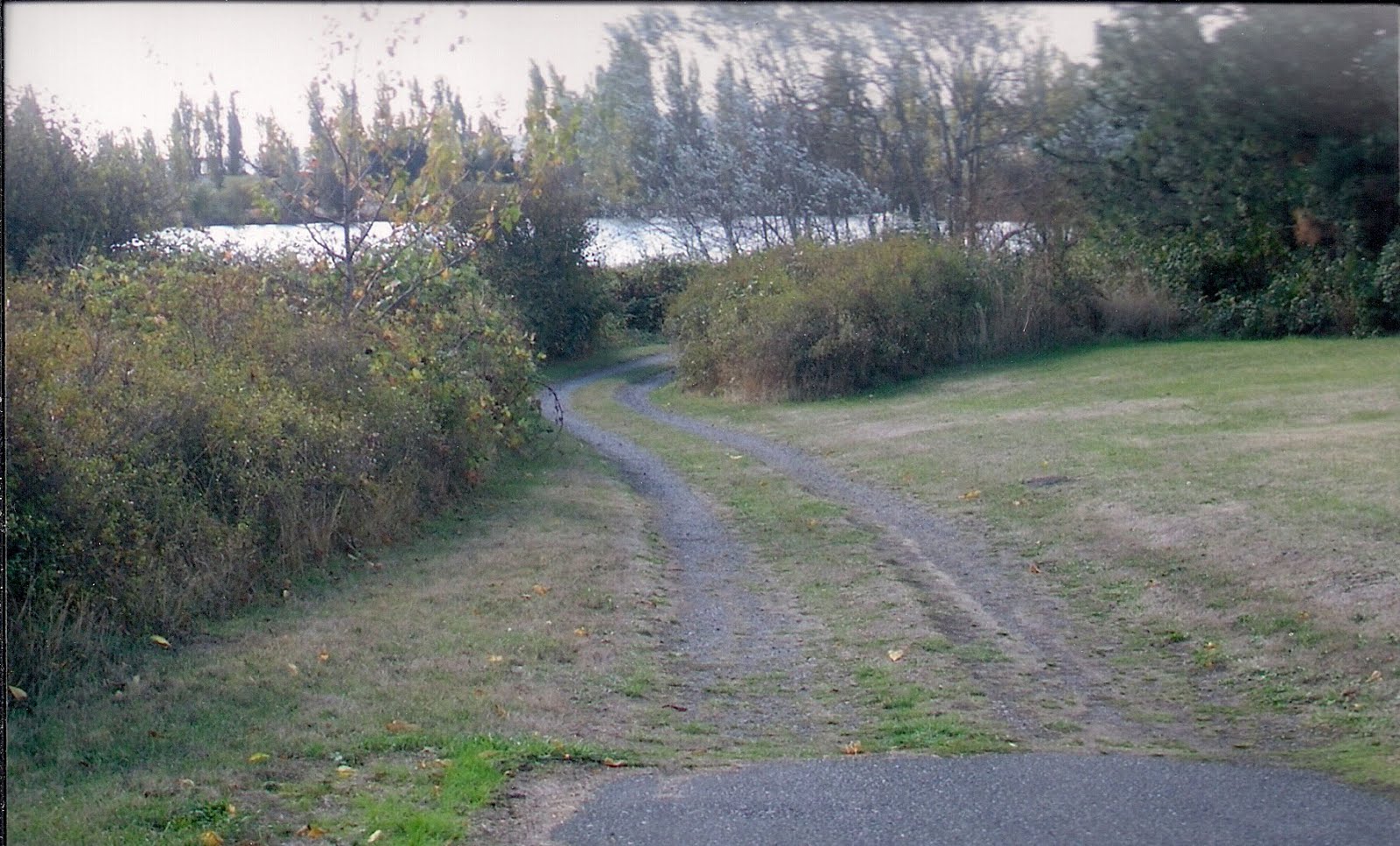 The Swamp Road So Tired of this cold weather