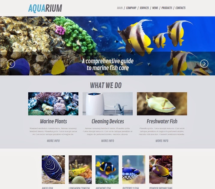 Fish Responsive WordPress Theme