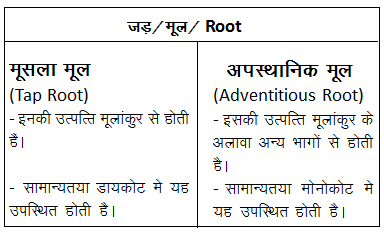 जड़