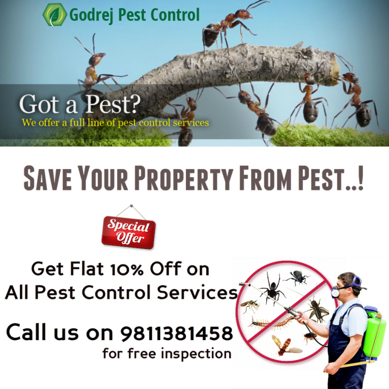 Godrej Pest Control Services Invoice Template