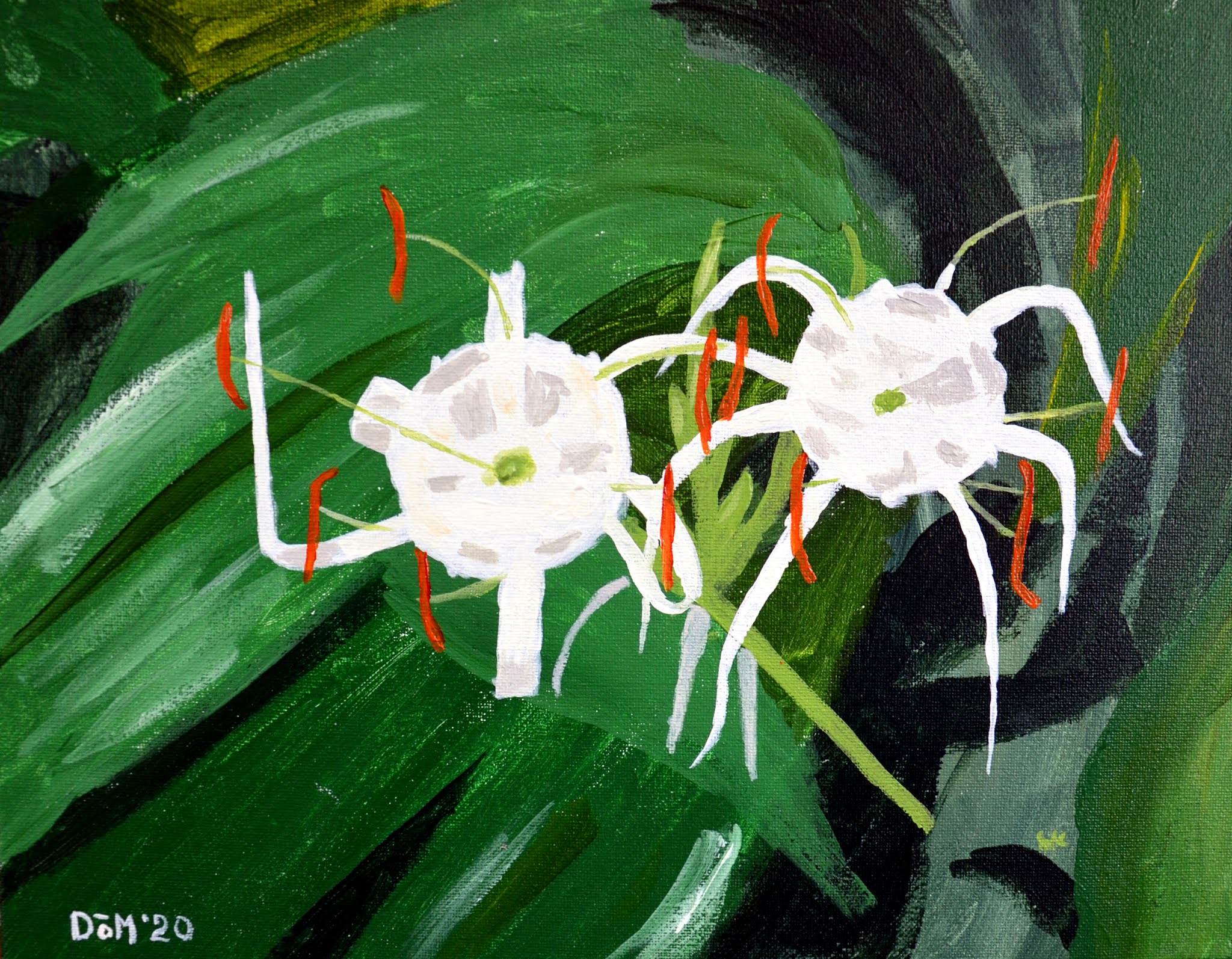 Mark Domin Creative "White Spider Plant"