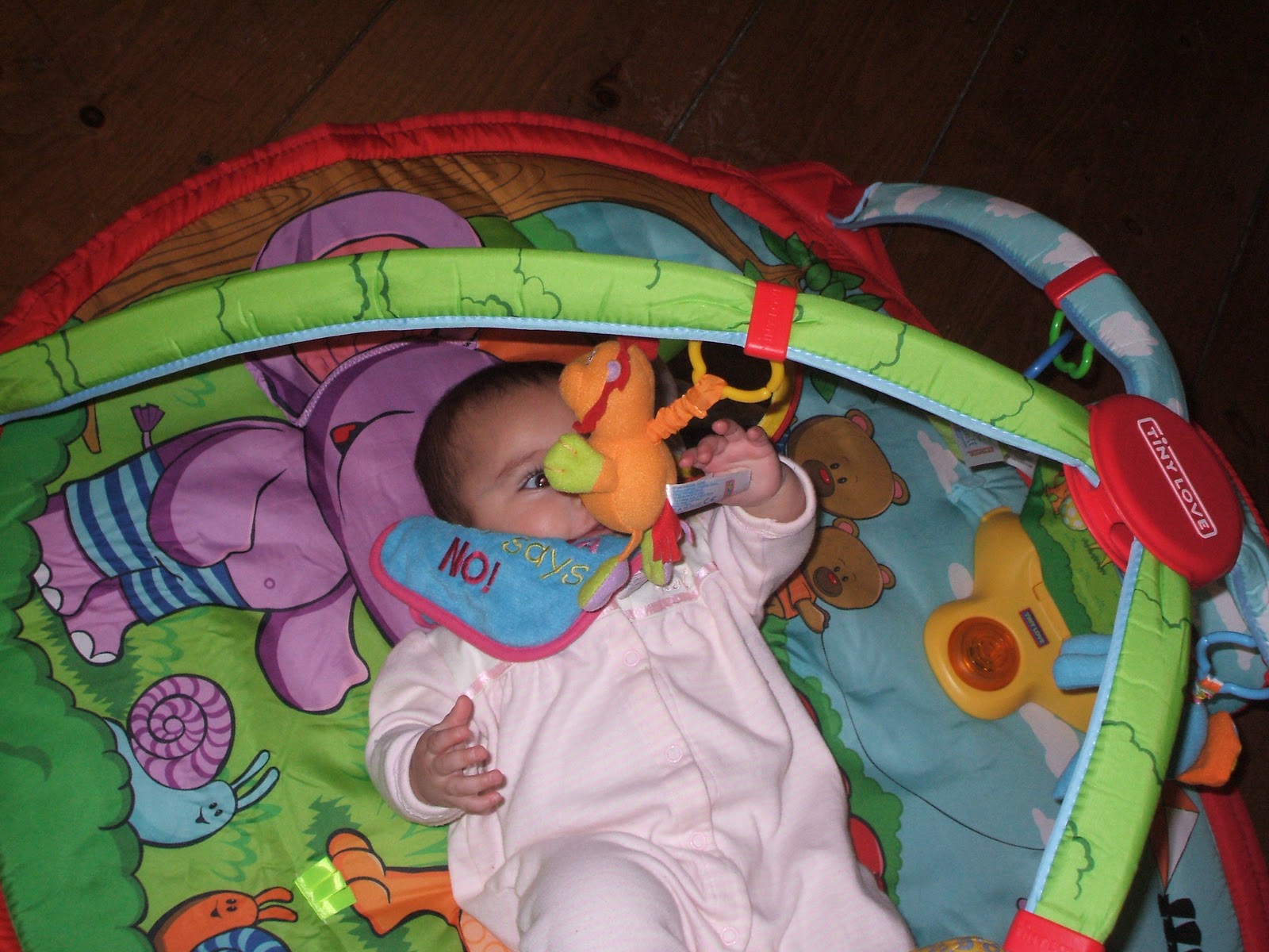 tiny love jungle park activity gym