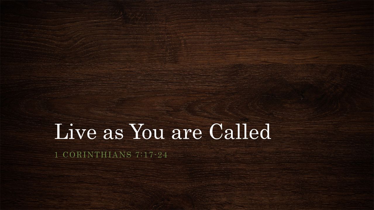 Audubon Drive Bible Church | Pastor's Blog