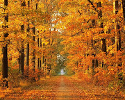 . través de sus sueños he caminado junto al otoño de su . autumn