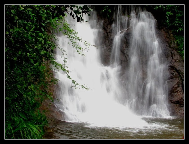 kothamgalam to adimali