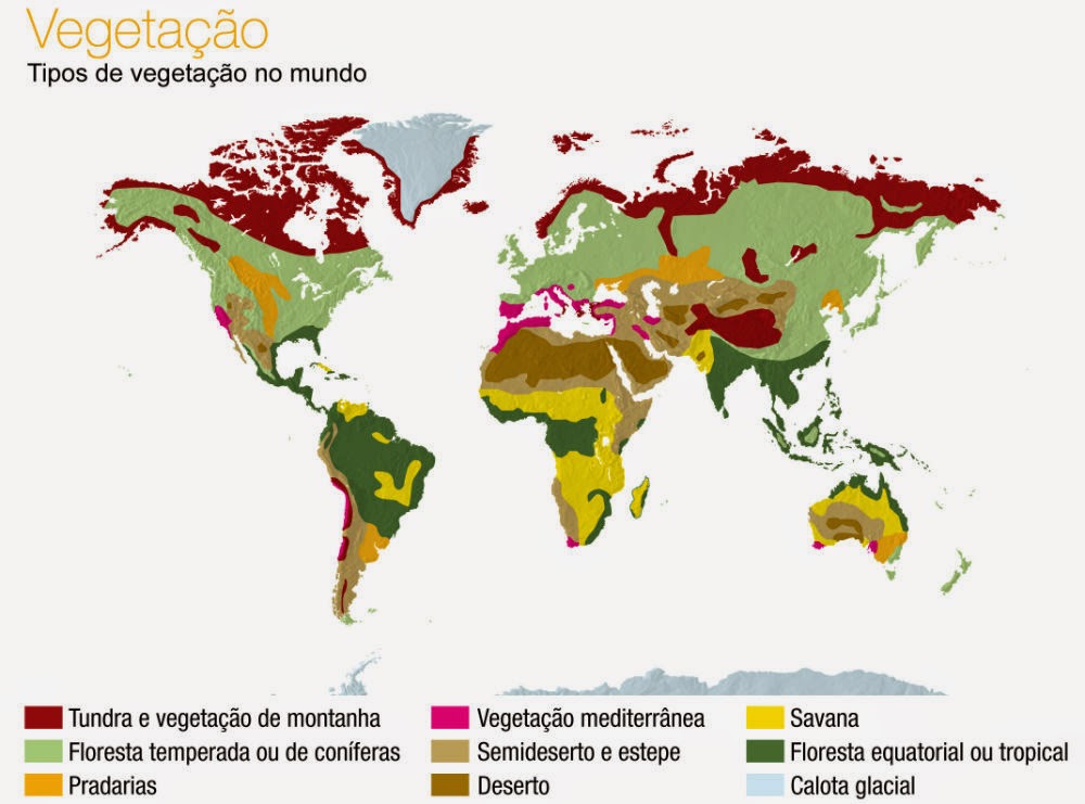 Aprender e ensinar Geografia VEGETAÇÃO EM PPT PARA AULAS DE GEOGRAFIA Aprender e ensinar Geografia VEGETAÇÃO EM PPT PARA AULAS DE GEOGRAFIA