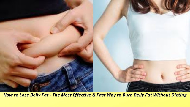 How to Lose Belly Fat - The Most Effective & Fast Way to Burn Belly Fat Without Dieting
