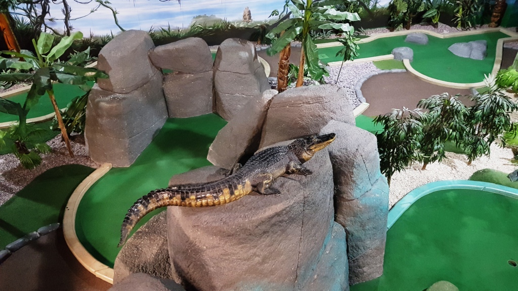 The Ham and Egger Files Paradise Island Adventure Golf Open Championship 2020 The Ham and Egger Files Paradise Island Adventure Golf Open Championship 2020