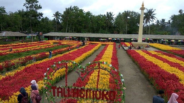 Taman Bunga Tali Asmoro Salah Satu Destinasi Wisata Yang Cukup Diminati Pengunjung Berita Lampung Beritaonline Berita Lampung Barat Kejarfakta Com