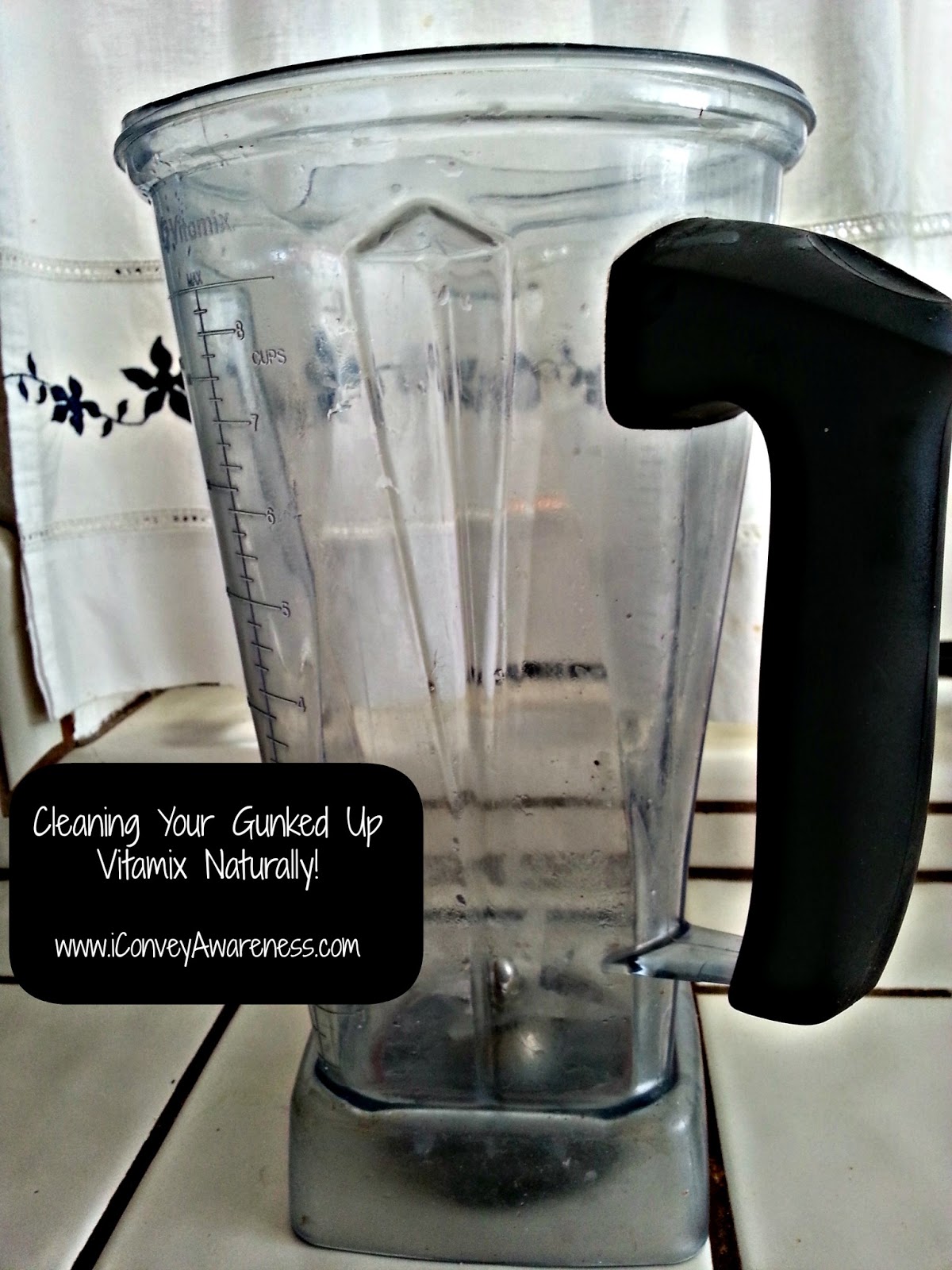 Conveying Awareness with Jessica David Cleaning Your Vitamix Naturally!