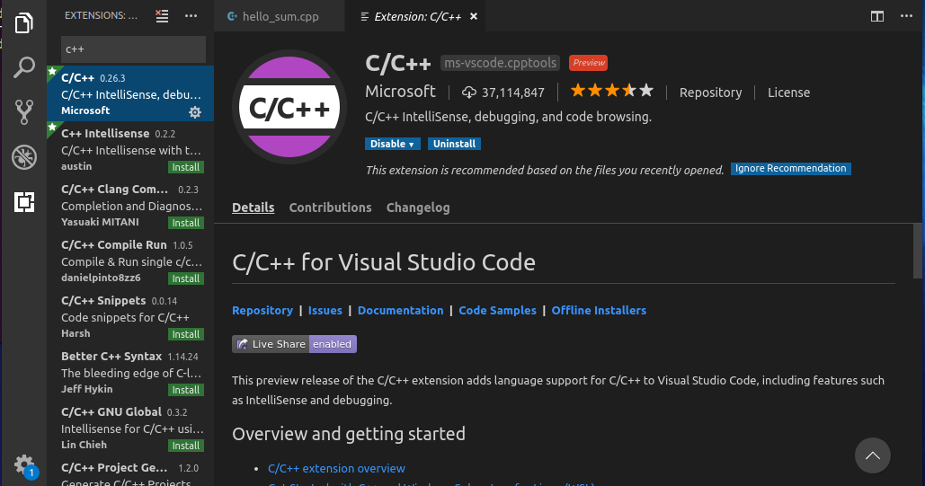 Visual Studio Gdb