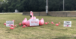 blow-up flamingoes on a lawn