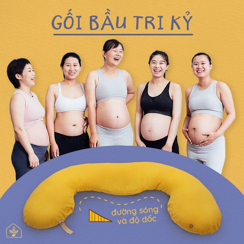 [A159] Nên mua gối cho bà bầu loại nào? Địa chỉ mua gối bầu đậu khuyết