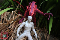 NECA Xenomorph Warrior Arcade Appearance 37