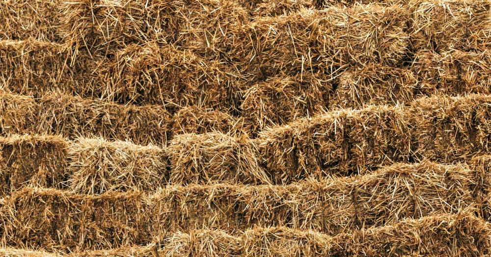 preview of my writing Hay bales and trusses