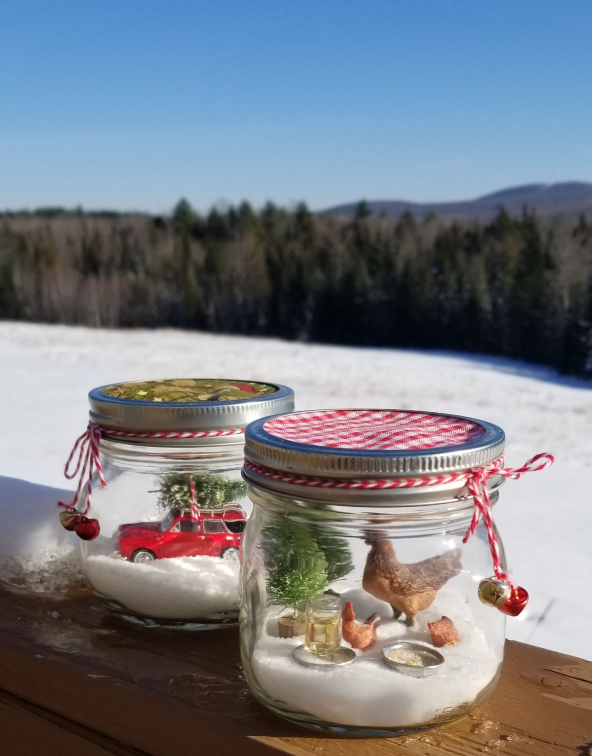 DIY Snow Globes - The Farmwife Crafts