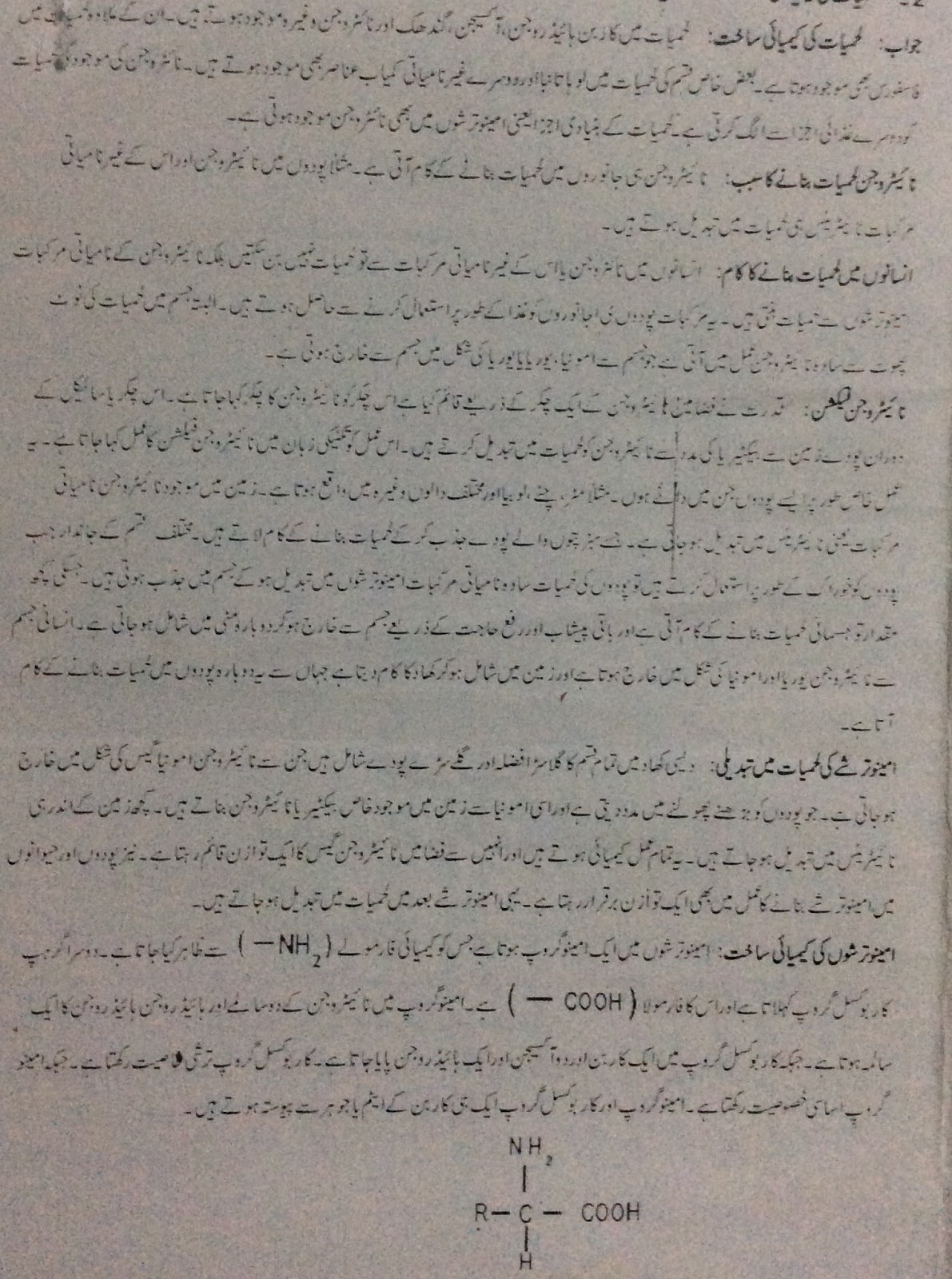 Daloon essay 07 image