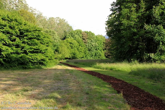 Kurpark Bad Krozingen Kräutergarten "Update"