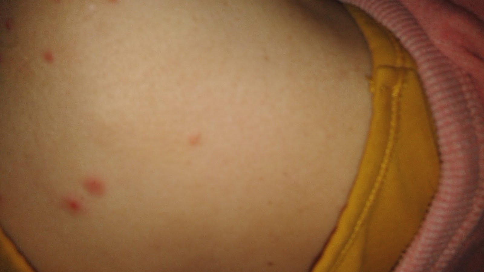 Get Korppu Ja Kirppu Markarupi Osa 2 Free Get Wallpaper Korppu Ja Kirppu Markarupi Osa 2 Free