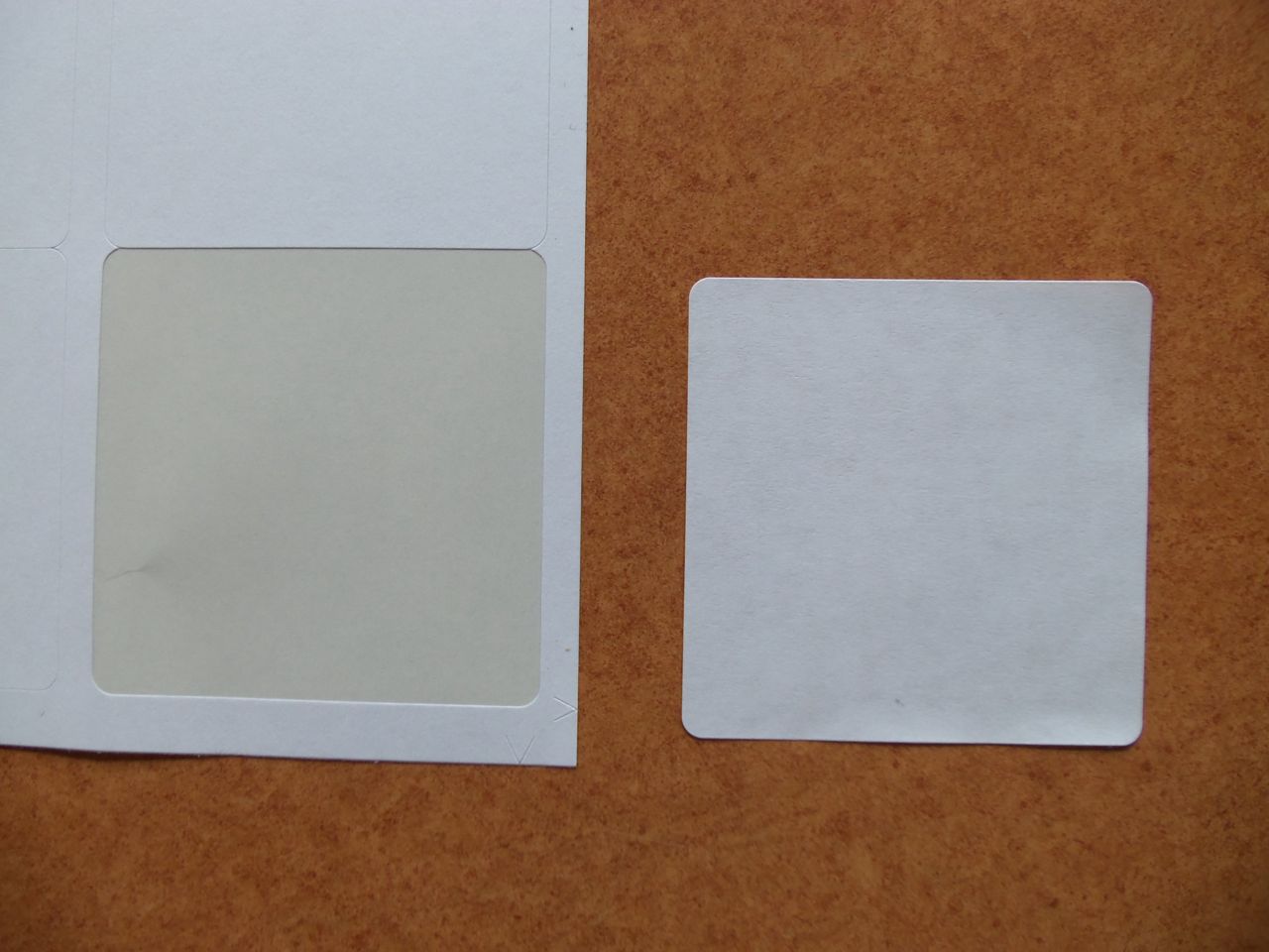 Www PoultryShrinkBags Turkey Size Shrink Bags you Can Get Them Here Www PoultryShrinkBags Turkey Size Shrink Bags you Can Get Them Here