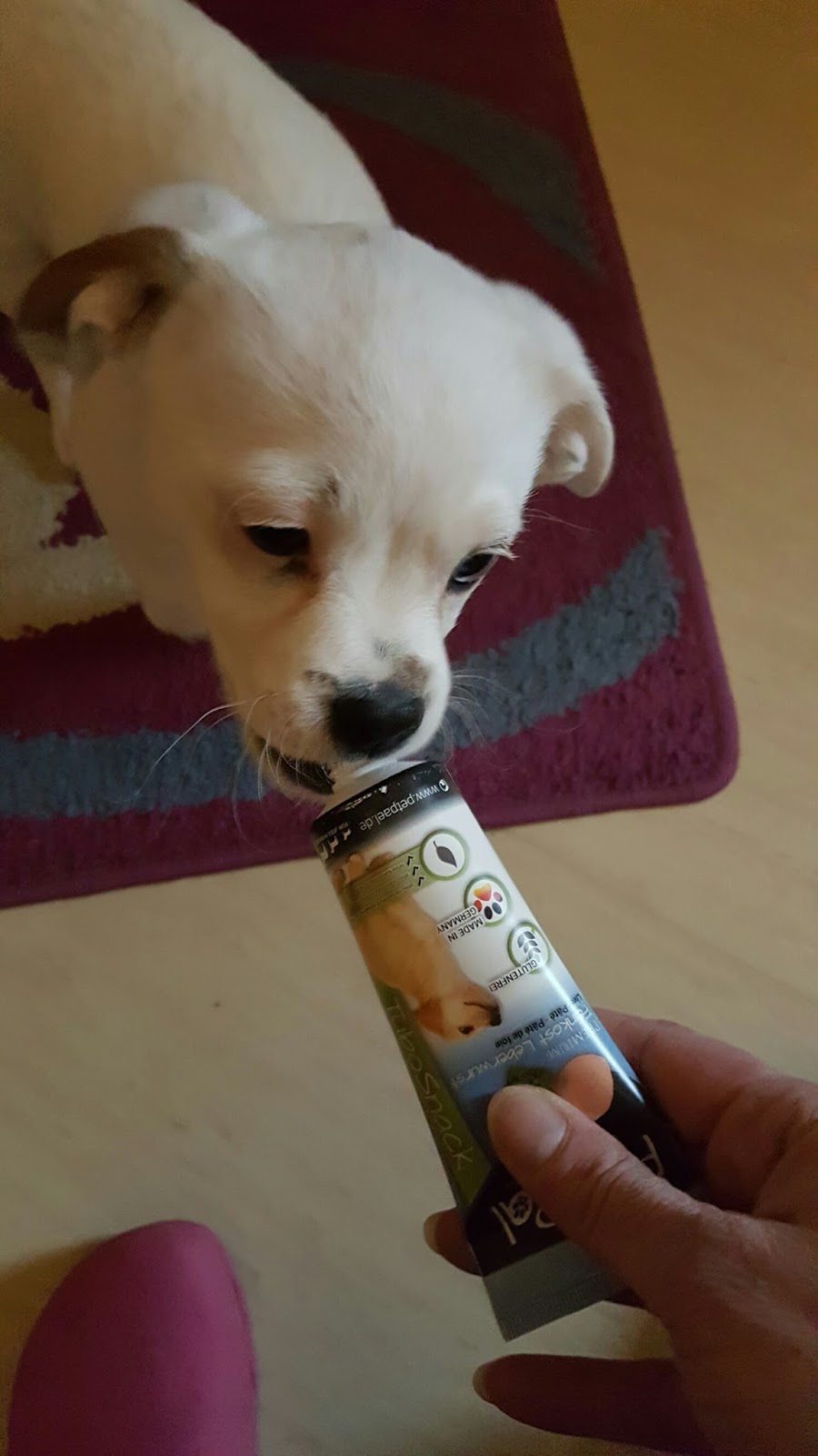 Mona�s Blog Hunde Leberwurst Tube Leckerli »TuboSnack« von PetPäl