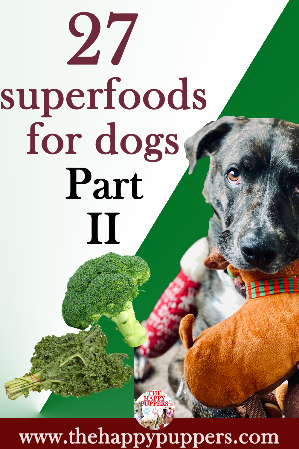 27 Super foods for dogs It is time to up the game. Part II