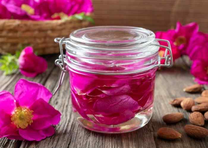 How to Make Rose Oil at Home Everything Pretty